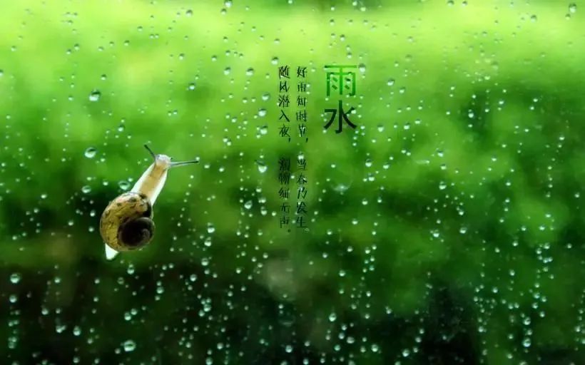 “雨水”來了，注意健脾祛濕防春寒，保健養(yǎng)生這么做！