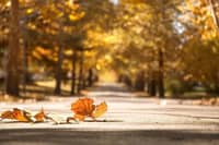 “秋凍”你做對了嗎？