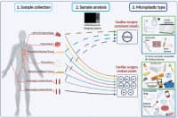 首次人體心臟中檢出微塑料！做好這3點，減少微塑料入侵風(fēng)險