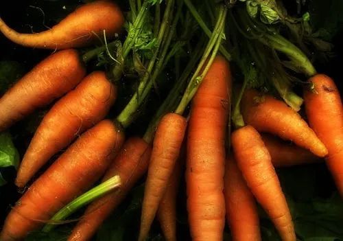 一天一根胡蘿卜，癌癥遠(yuǎn)離我？常吃還能延長(zhǎng)壽命、防治心血管疾病